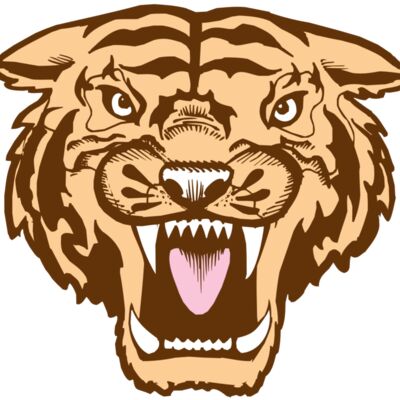 BAW TIGER 05 RC 縮圖