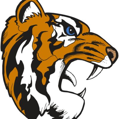 BAW TIGER 08 RC 縮圖