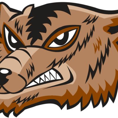 WOLVERINE HD0504 RQC 縮圖