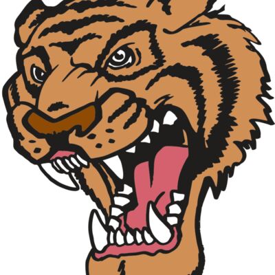 AR TIGER 12 RC 縮圖