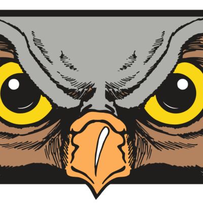 AR5 Owl 13 RQC 縮圖