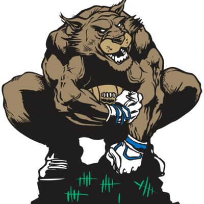 AR WILDCAT 34 RC 縮圖