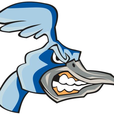 ROADRUNNER HD0503 RQC 縮圖