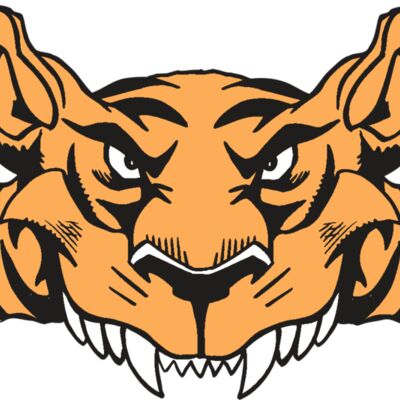 AR5 Tiger 07 RQC 縮圖