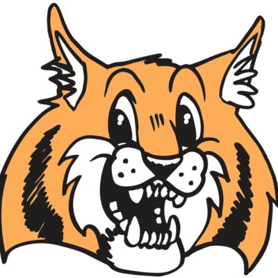 AR WILDCAT 13 RC 縮圖