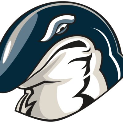 WHALE HD0503 RQC 縮圖