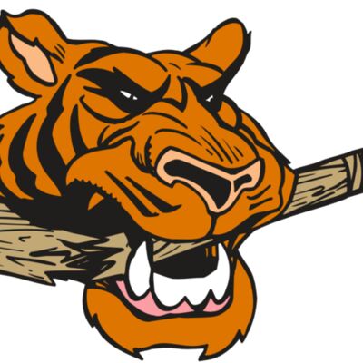 AR5 Tiger 11 RQC 縮圖