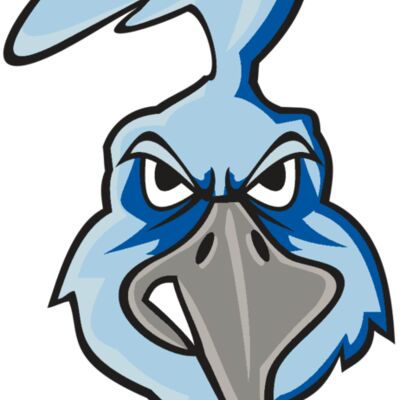 ROADRUNNER HD0502 RQC 縮圖