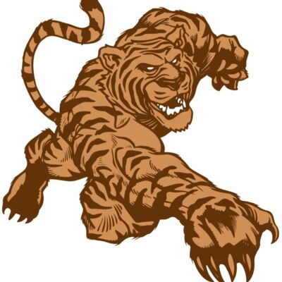 AR TIGER 56 RC 縮圖