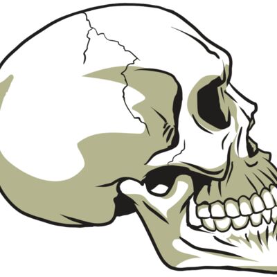 AR24 SKULL 12 RQC 縮圖