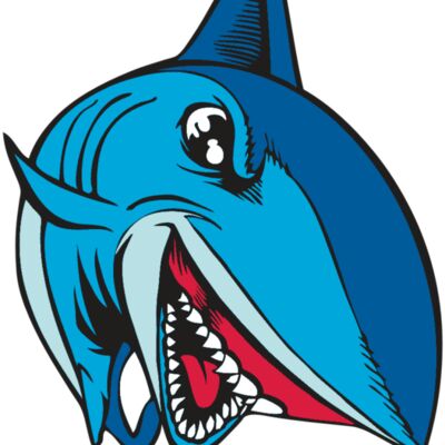 BAW SHARK 02 RC 縮圖