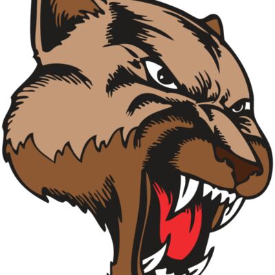 BAW COUG PANTH 11 R 縮圖