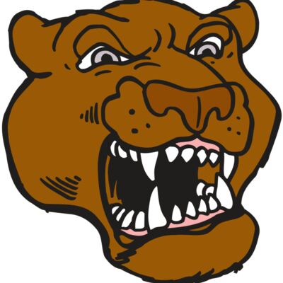 AR5 COUGAR 29 RQC 縮圖