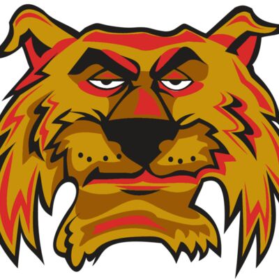 WILDCAT HD0503 RQC 縮圖