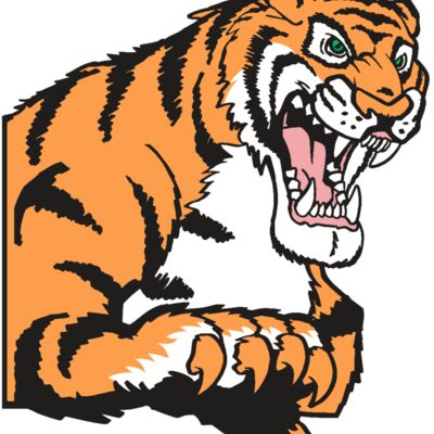 AR TIGER 10 RC 縮圖