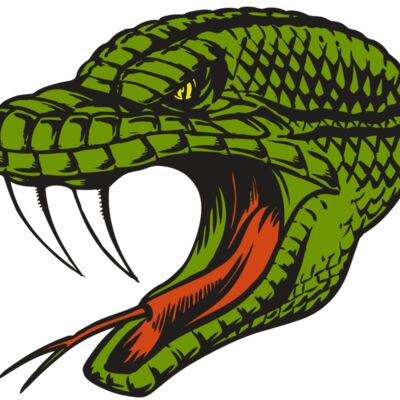 BAW SNAKE 14 RC 縮圖