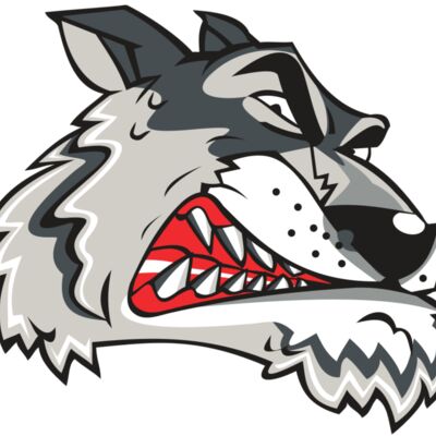 WOLF HD0502 RQC 縮圖