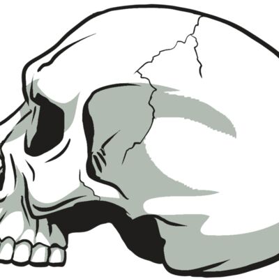 AR24 SKULL 11 RQC 縮圖