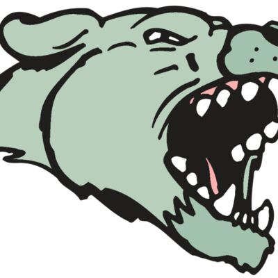 AR5 COUGAR 33 RQC 縮圖