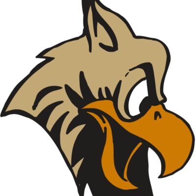 AR5 Owl 11 RQC 縮圖