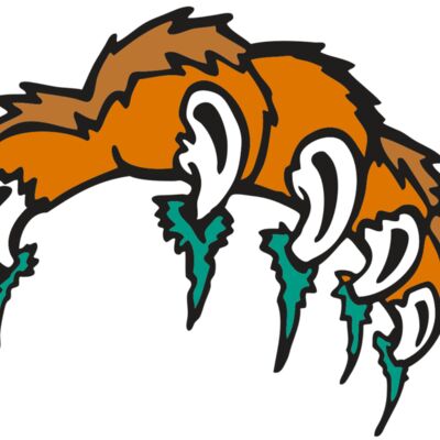 AR2 TIGER 03 RQC 縮圖