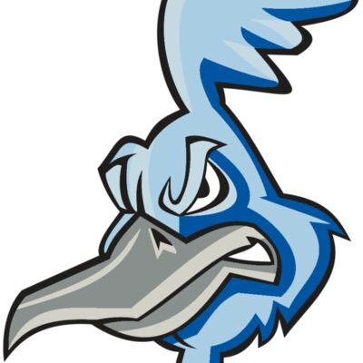 ROADRUNNER HD0501 RQC 縮圖