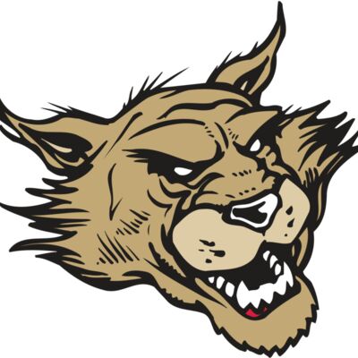 AR WILDCAT 39 RC 縮圖