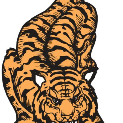 BAW TIGER 01 RC 縮圖