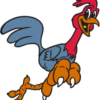 AR20 ROADRUNNER 35 RQC 縮圖