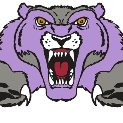 AR WOLVERINE 17 RC 縮圖