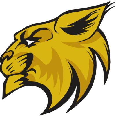 AR30 WILDCAT 02 RQC 縮圖