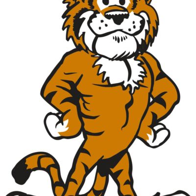 AR TIGER 91 RC 縮圖