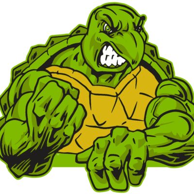 AR31 TURTLE 01 RQC 縮圖