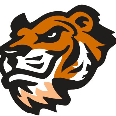 AR TIGER 21 RC 縮圖