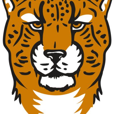 AR32 CHEETAH 01 RQC 縮圖