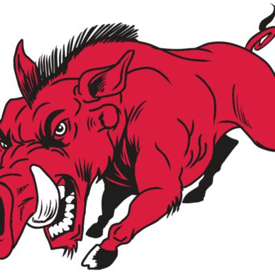 AR22 RAZORBACK 01 RQC 縮圖