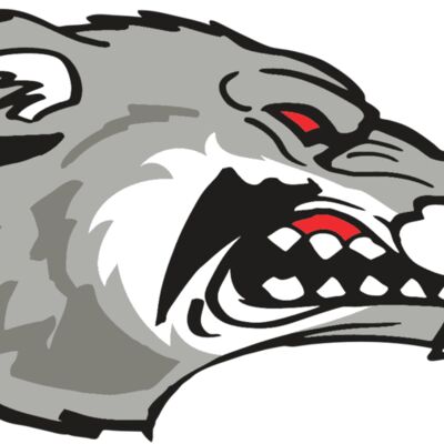 AR WOLVERINE 13 RC 縮圖