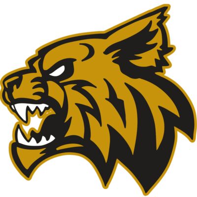 AR WILDCAT 16 RC 縮圖