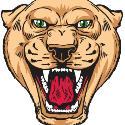 AR13 PNTHR 01 RQC 縮圖