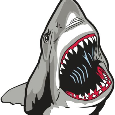 AR20 SHARK 45 RQC 縮圖