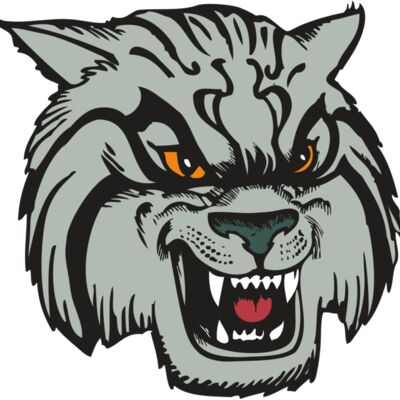 BAW WILDCAT 03 RC 縮圖