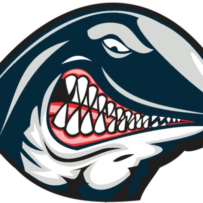 WHALE HD0501 RQC 縮圖