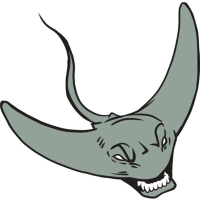 AR19 STINGRAY 05 RQC 縮圖