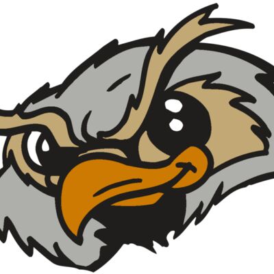 AR5 Owl 06 RQC 縮圖