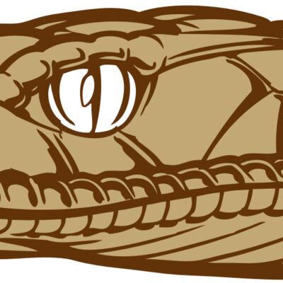 BAW SNAKE 12 RC 縮圖