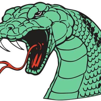 AR SNAKE 10 RC 縮圖