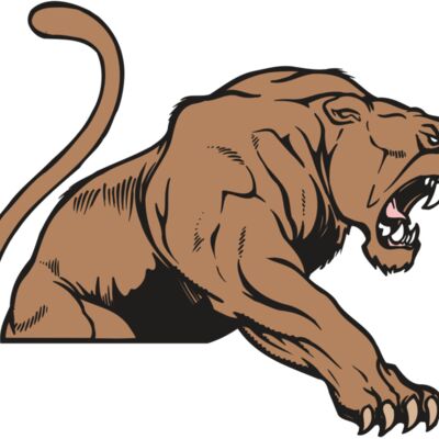 AR COUGAR 55 RC 縮圖