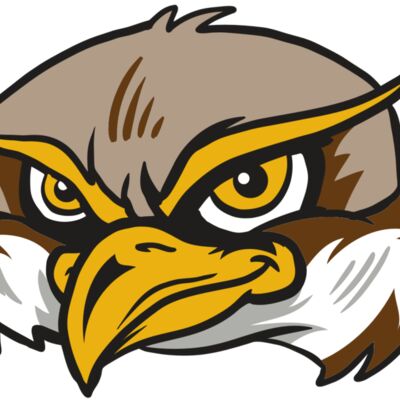 AR12 OWL 02 RQC 縮圖