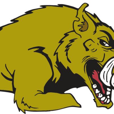 AR RAZORBACK 23 RC 縮圖