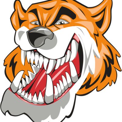 TIGER HD0504 RQC 縮圖